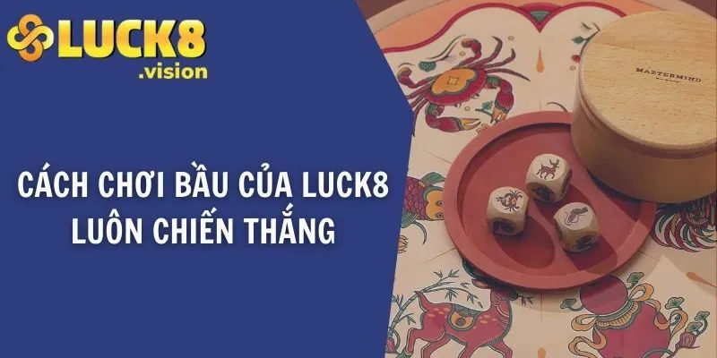 Cách chơi bầu của LUCK8 luôn chiến thắng